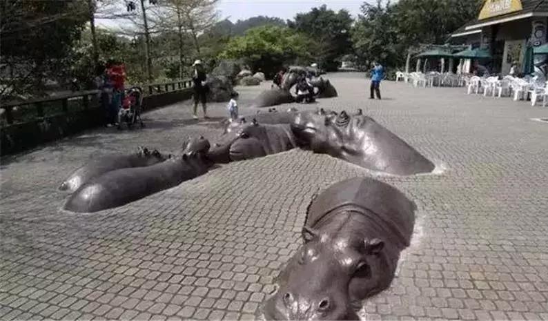 河马公主vs直播视频,当童话撞上算法,谁在定义我们的真实? 河马公主vs直播视频,当童话撞上算法,谁在定义我们的真实?